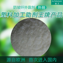 王祖贤在加拿大开艾灸馆 600元一小时