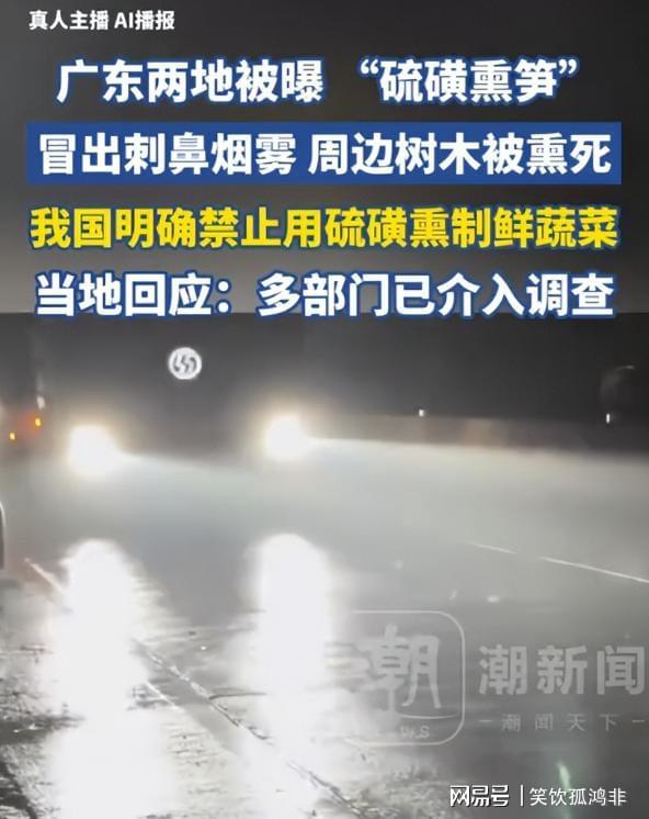 自由式滑雪空中技巧混合团体